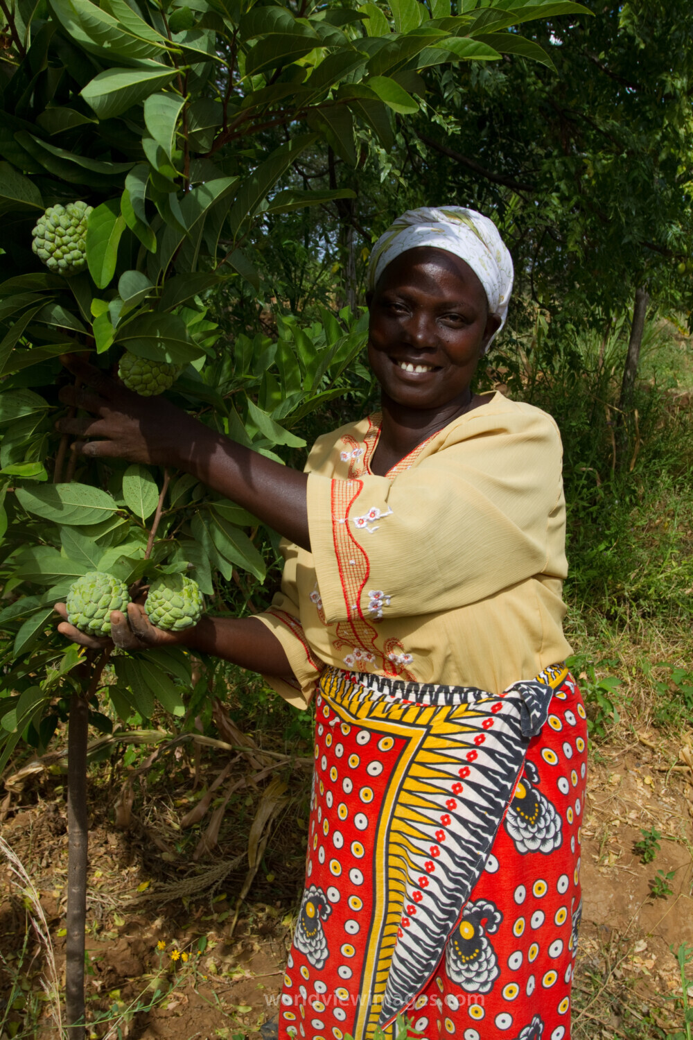 Woman with Her Fruit Tree in Kenya