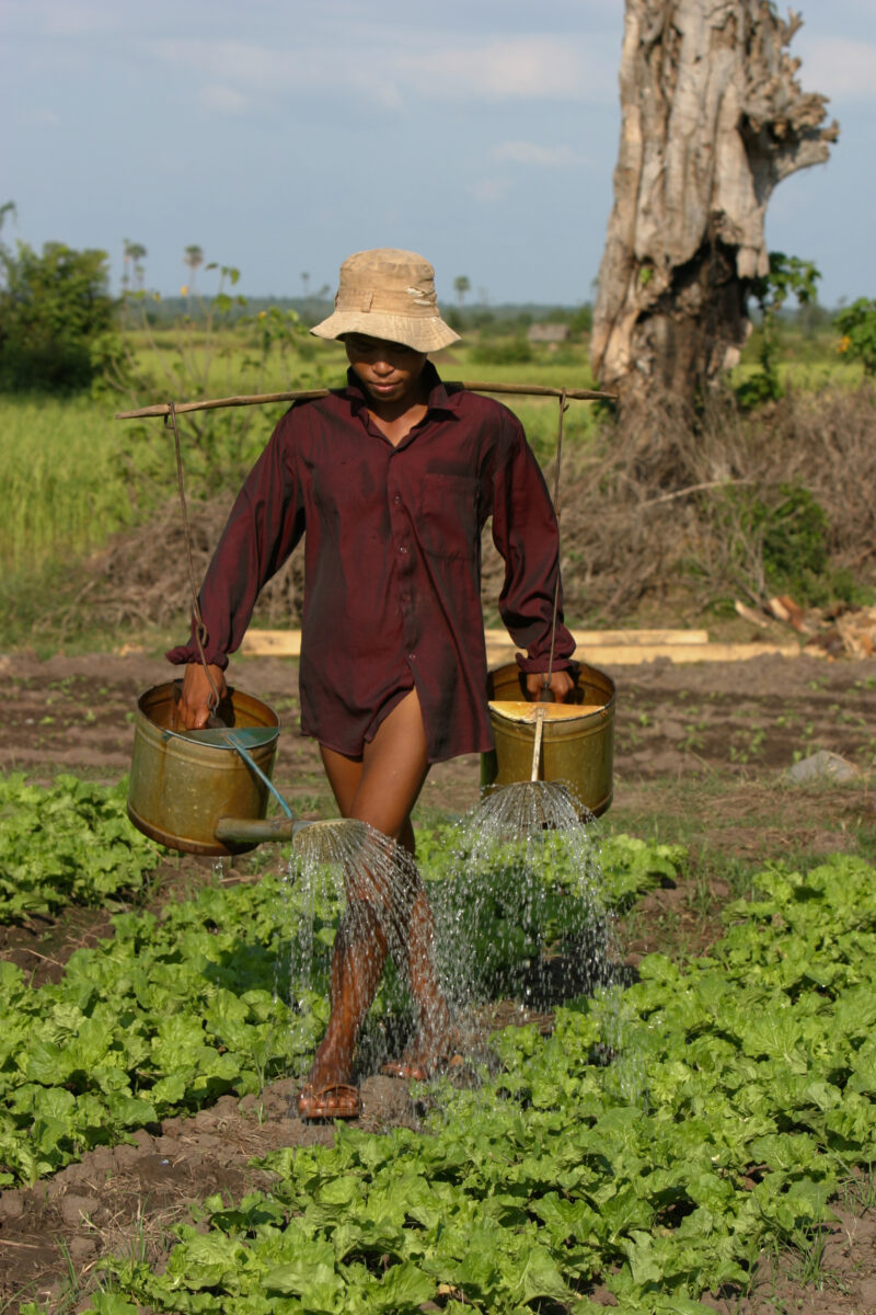 Watering Garden in Cambodia — Stock image of irrigating fields by hand with watering cans, during the dry season in Cambodia. — Cambodia, agriculture, market...