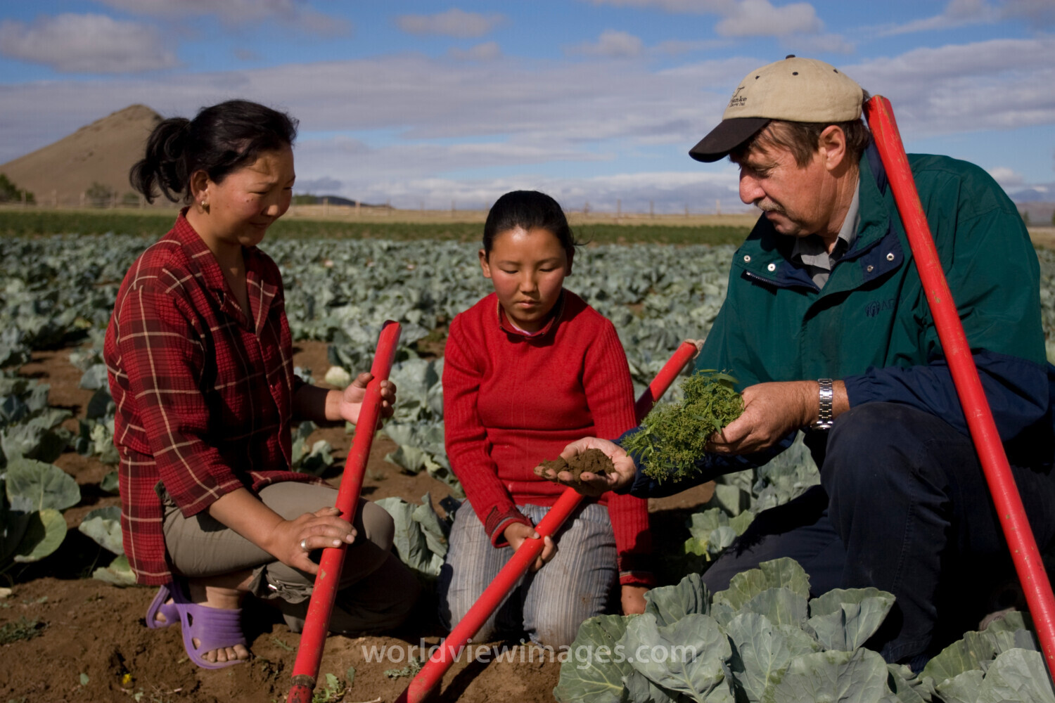 Agricultural Instruction in Mongolia