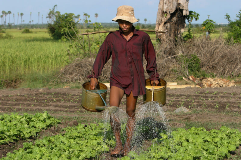 Watering Garden in Cambodia — Stock image of irrigating fields by hand with watering cans, during the dry season in Cambodia. — Cambodia, agriculture, market...