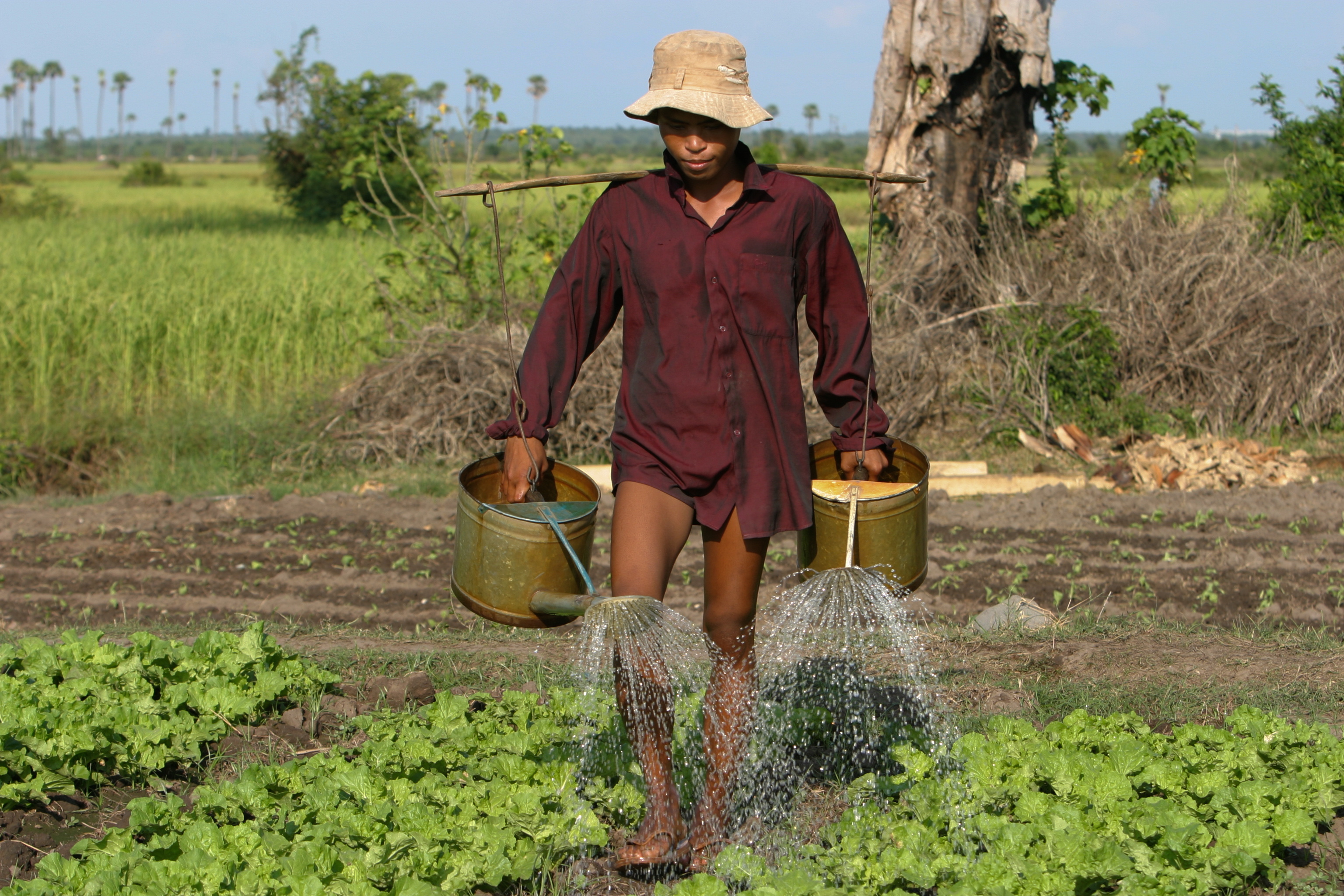 Watering Garden in Cambodia