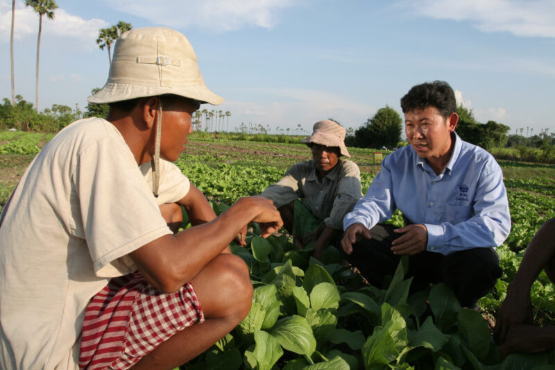 Agricultural Instruction in Cambodia — Stock Image of rural farmers getting agricultural instruction from an ADRA specialist. — Cambodia, farming, agricultur...