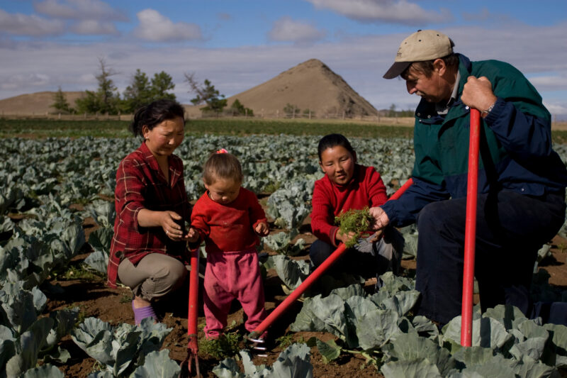 Agricultural Instruction in Mongolia — Stock image of people learning new agricultural skills in Mongolia — Mongolia, agricultural instruction, agriculture, ...