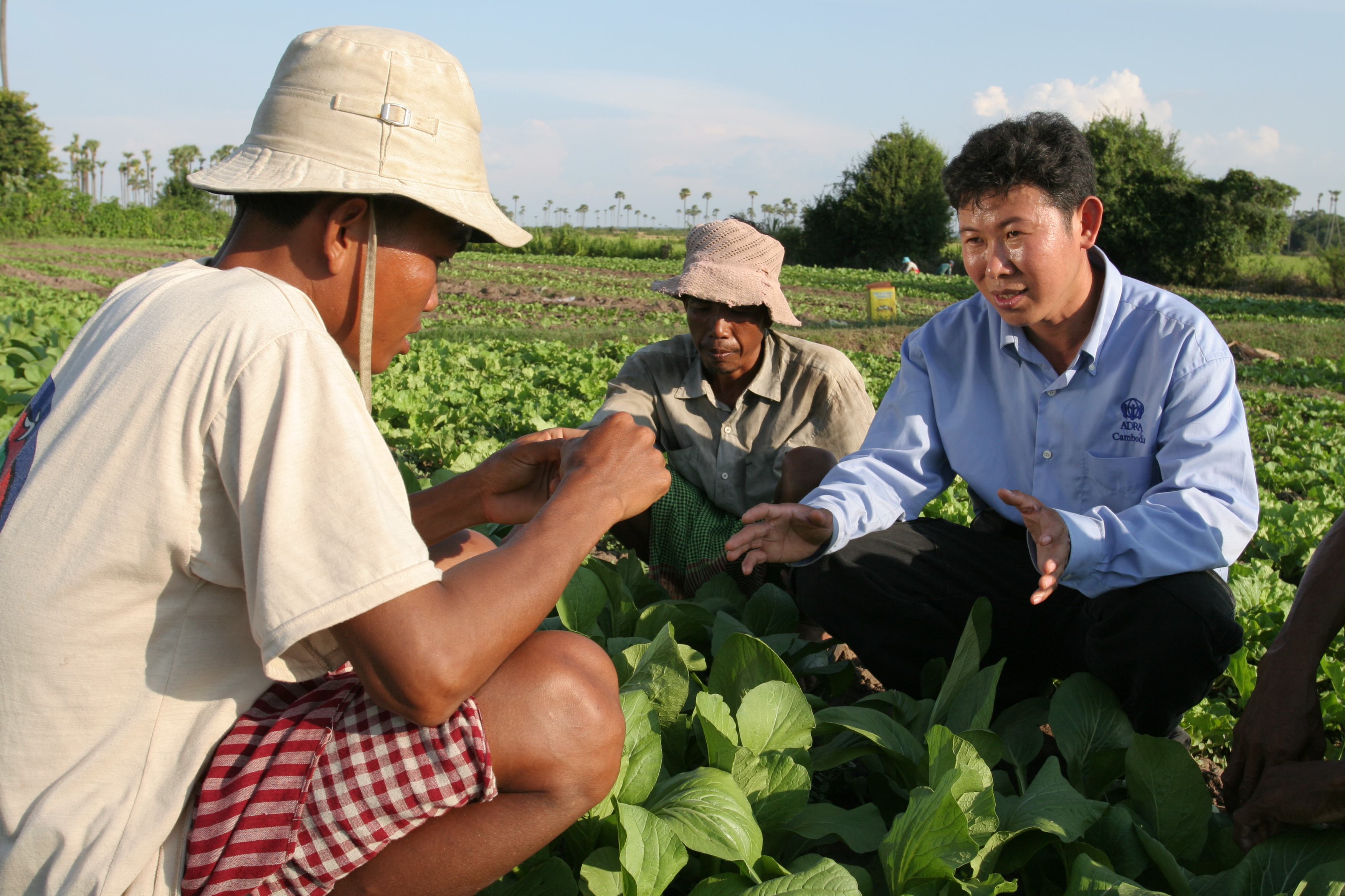 Agricultural Instruction in Cambodia