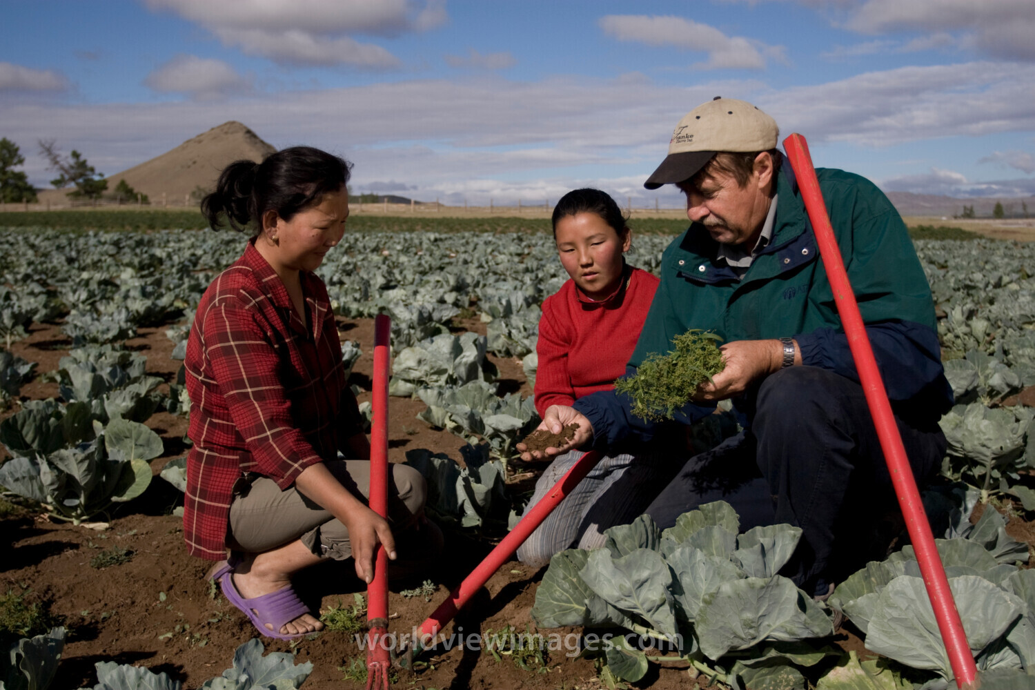 Agricultural Instruction in Mongolia
