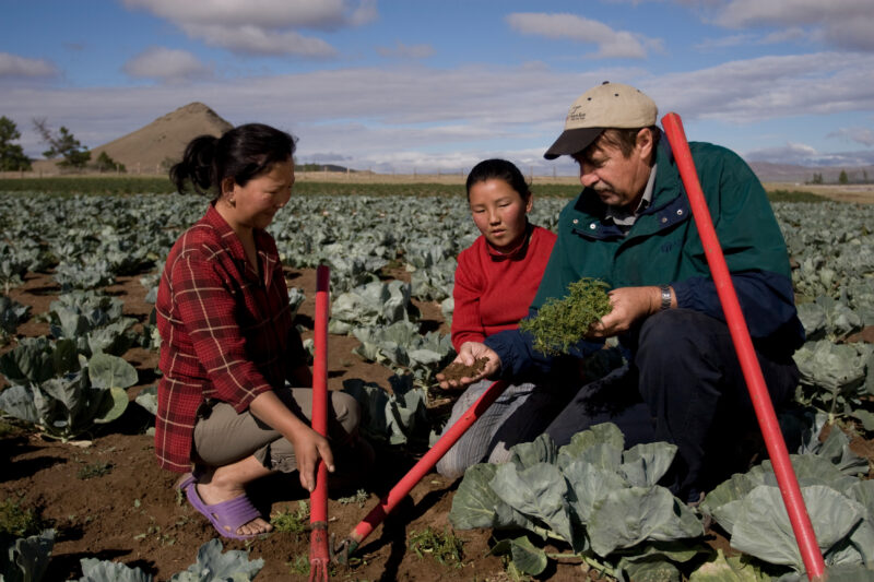 Agricultural Instruction in Mongolia — Stock image of people learning new agricultural skills in Mongolia — Mongolia, agricultural instruction, agriculture, ...