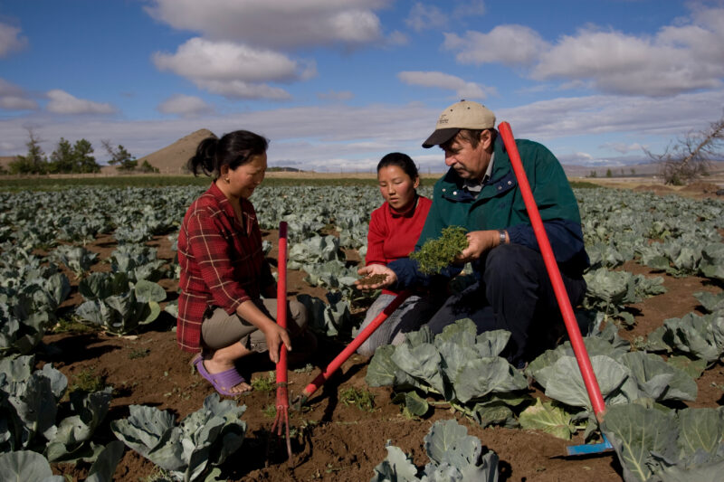 Agricultural Instruction in Mongolia — Stock image of people learning new agricultural skills in Mongolia — Mongolia, agricultural instruction, agriculture, ...