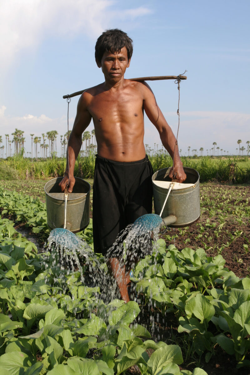 Watering Garden by Hand — Stock image of irrigating fields by hand with watering cans, during the dry season in Cambodia. — Cambodia, agriculture, market gar...