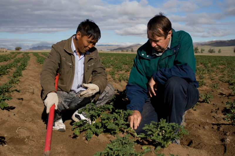 Agricultural Instruction in Mongolia — Stock image of people learning new agricultural skills in Mongolia — Mongolia, agricultural instruction, agriculture, ...