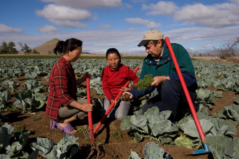 Agricultural Instruction in Mongolia — Stock image of people learning new agricultural skills in Mongolia — Mongolia, agricultural instruction, agriculture, ...