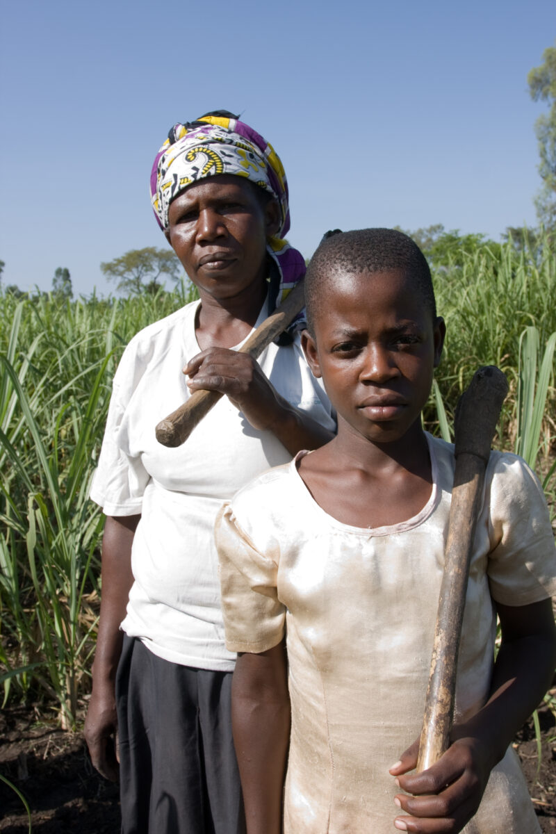 Working in Garden in Kenya — Children work in the family garden on a remote farm in Kenya — ADRA, AID, Africa, Assistance, Development