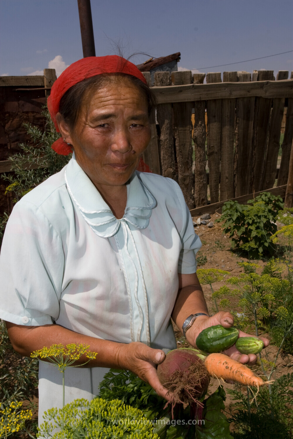 Woman and her vegetables in Mongolia