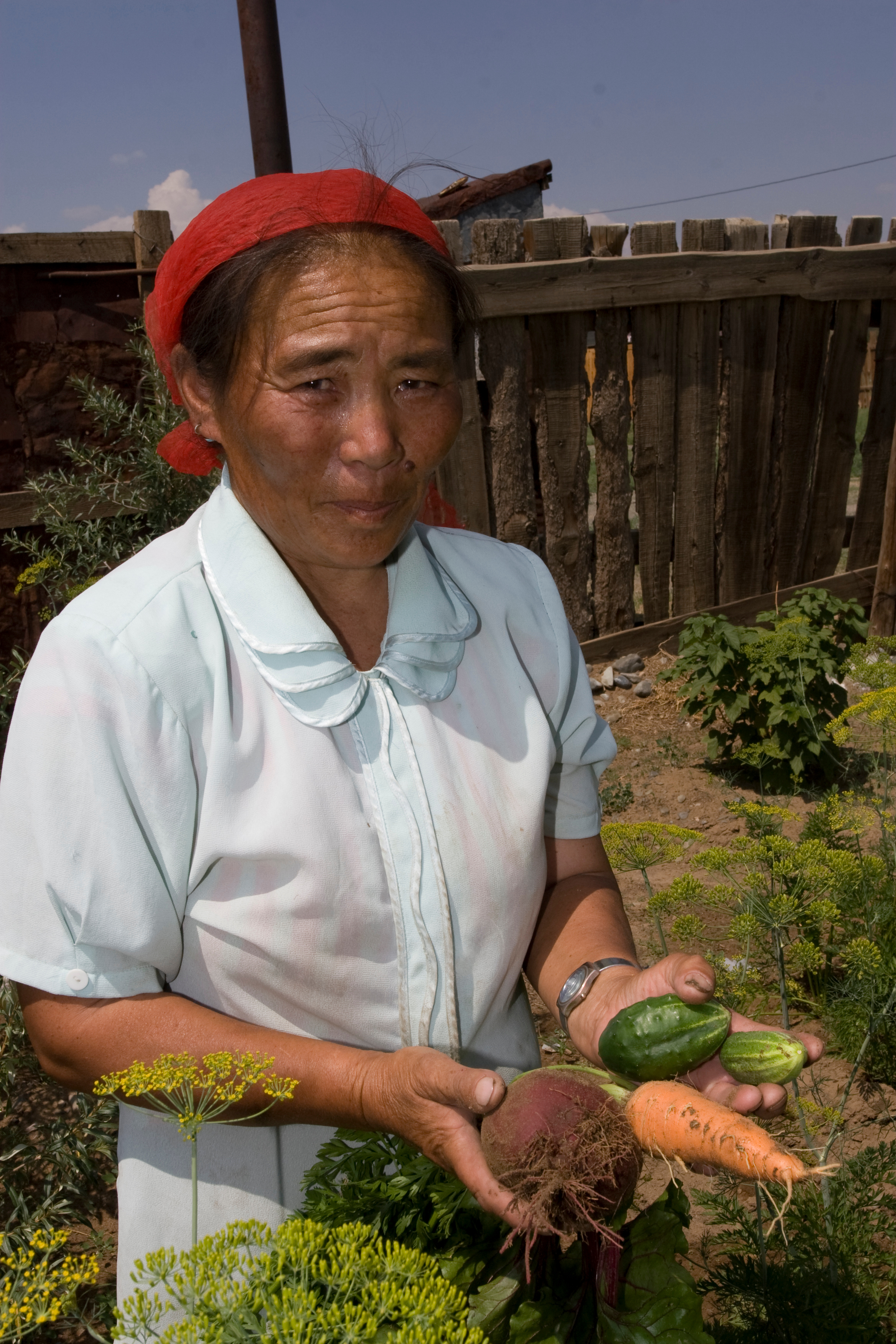 Woman and her vegetables in Mongolia