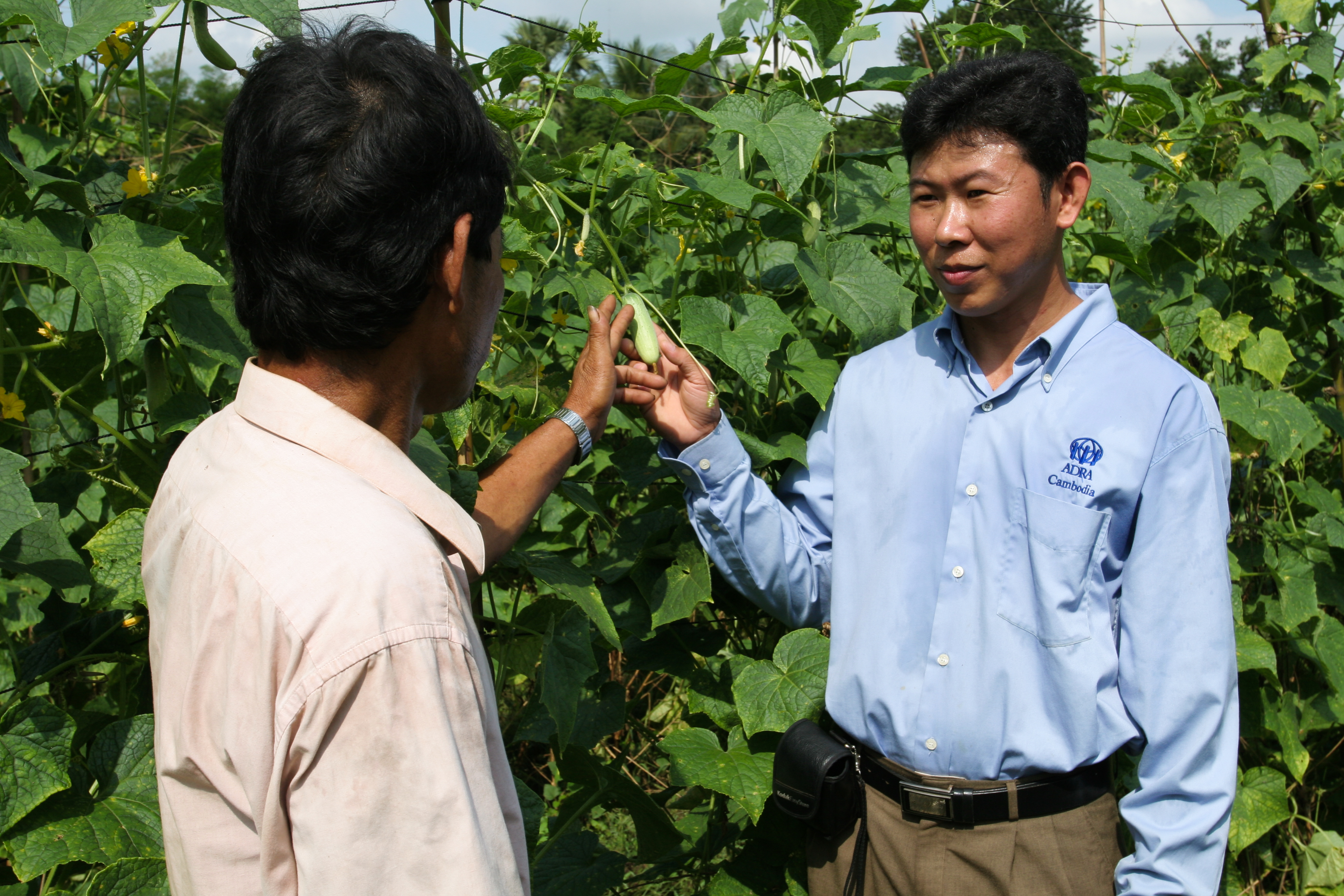 Agricultural Instruction in Cambodia