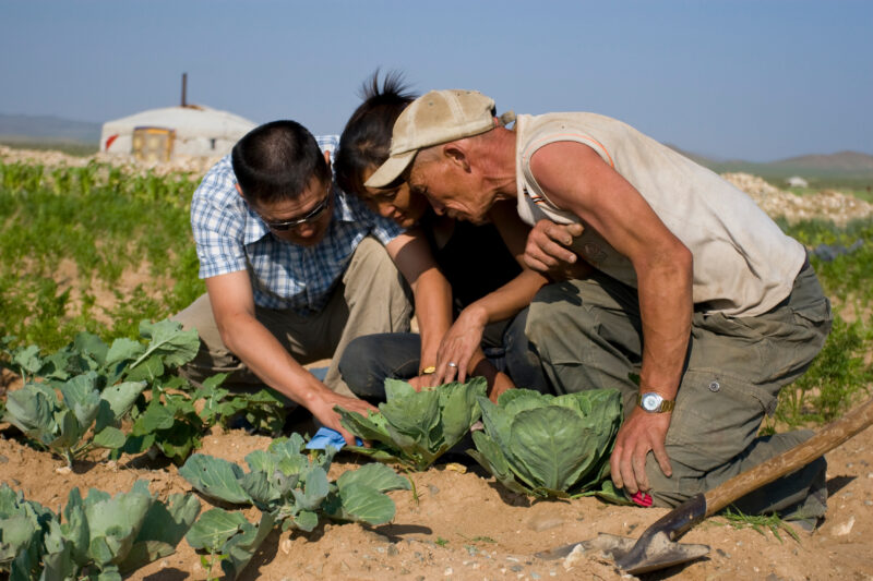 Agricultural Instruction in Mongolia — Stock image of people in Mongolia learning new methods of agriculture for better nutrition and Income. — Mongolia, agr...