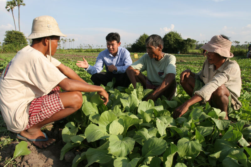 Agricultural Instruction in Cambodia — Stock Image of rural farmers getting agricultural instruction from an ADRA specialist. — Cambodia, farming, agricultur...