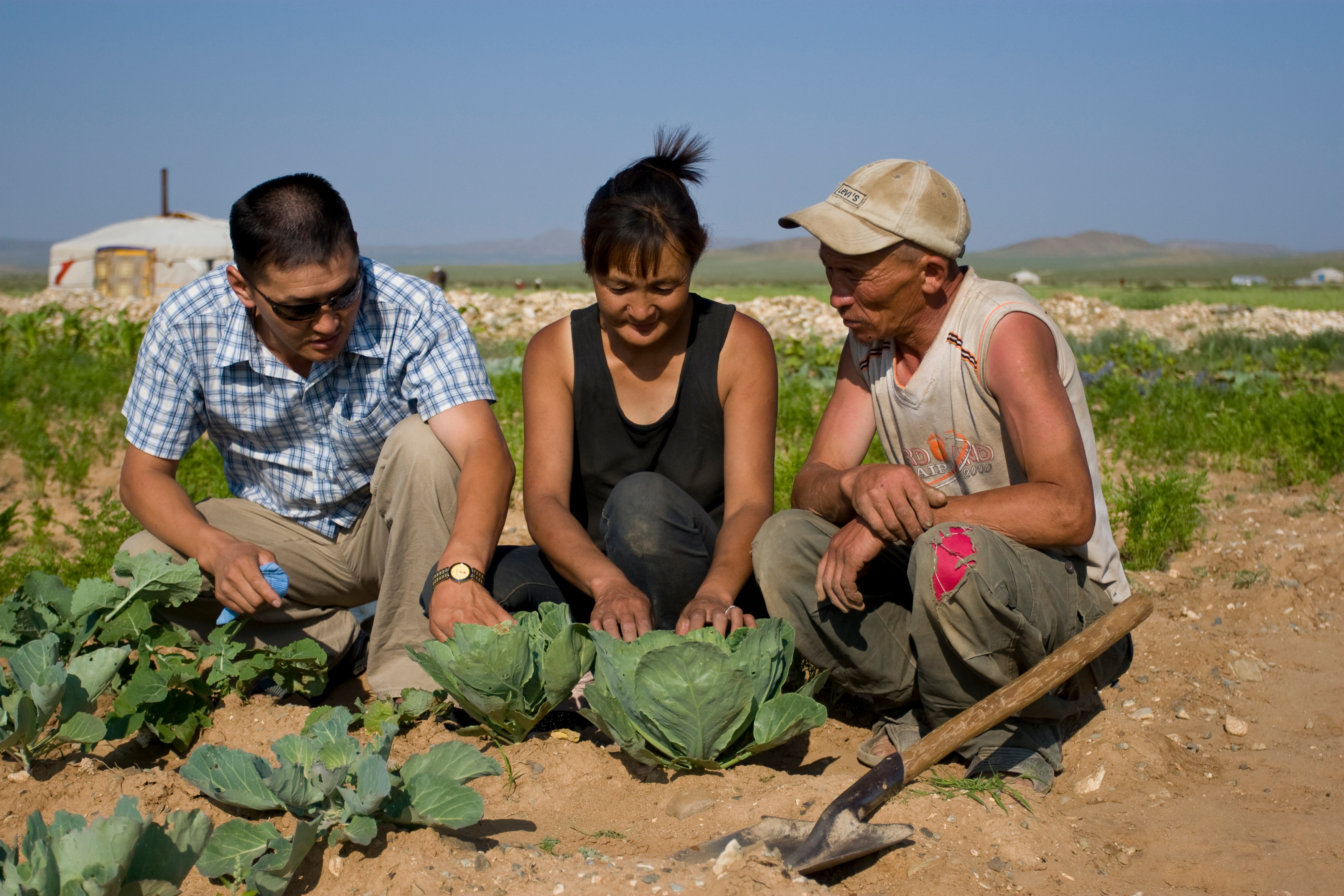 Agricultural Instruction in Mongolia