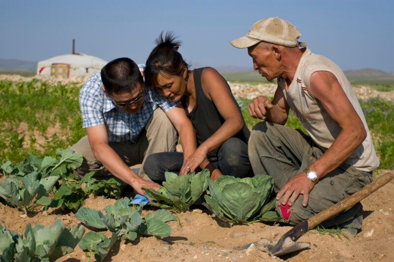 Agricultural Instruction in Mongolia — Stock image of people in Mongolia learning new methods of agriculture for better nutrition and Income. — Mongolia, agr...
