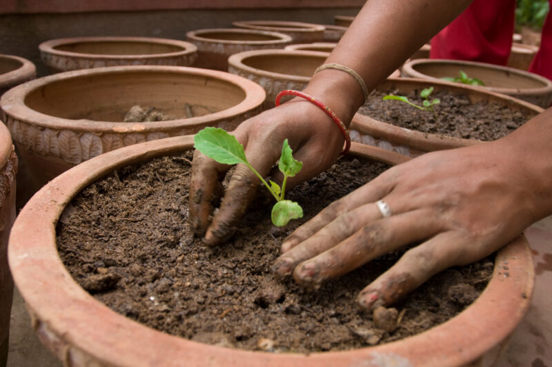 Pot Gardening in Nepal — Villagers in Nepal learn how to grow vegetables in pots. — Nepal, food, food security, pot gardening