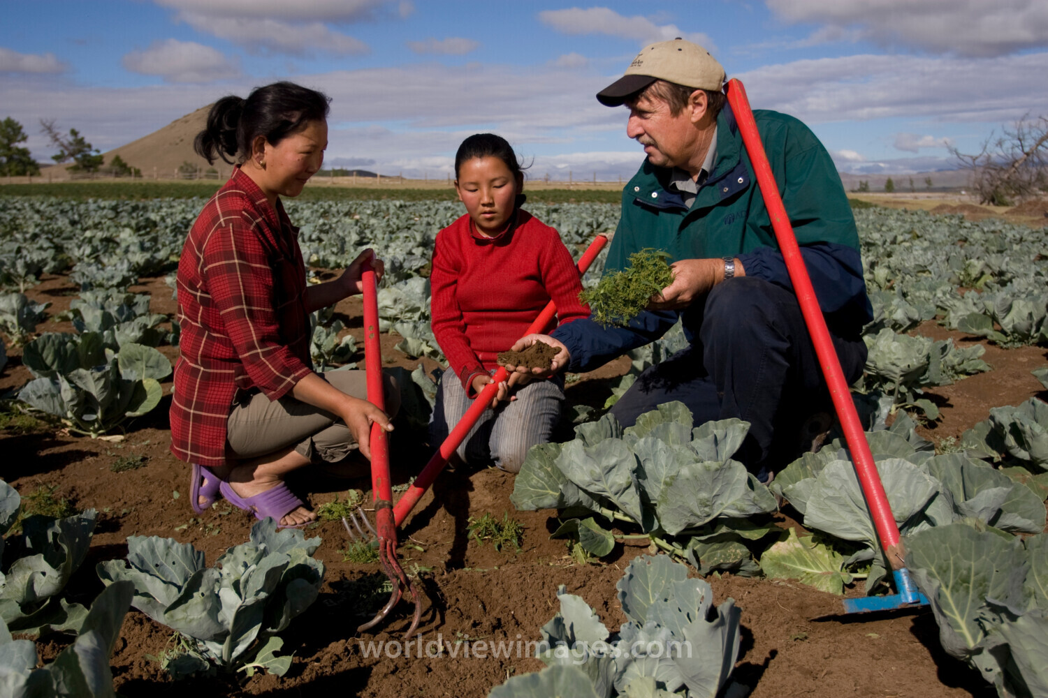 Agricultural Instruction in Mongolia