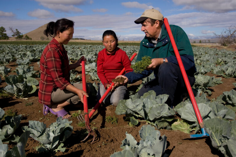 Agricultural Instruction in Mongolia — Stock image of people learning new agricultural skills in Mongolia — Mongolia, agricultural instruction, agriculture, ...