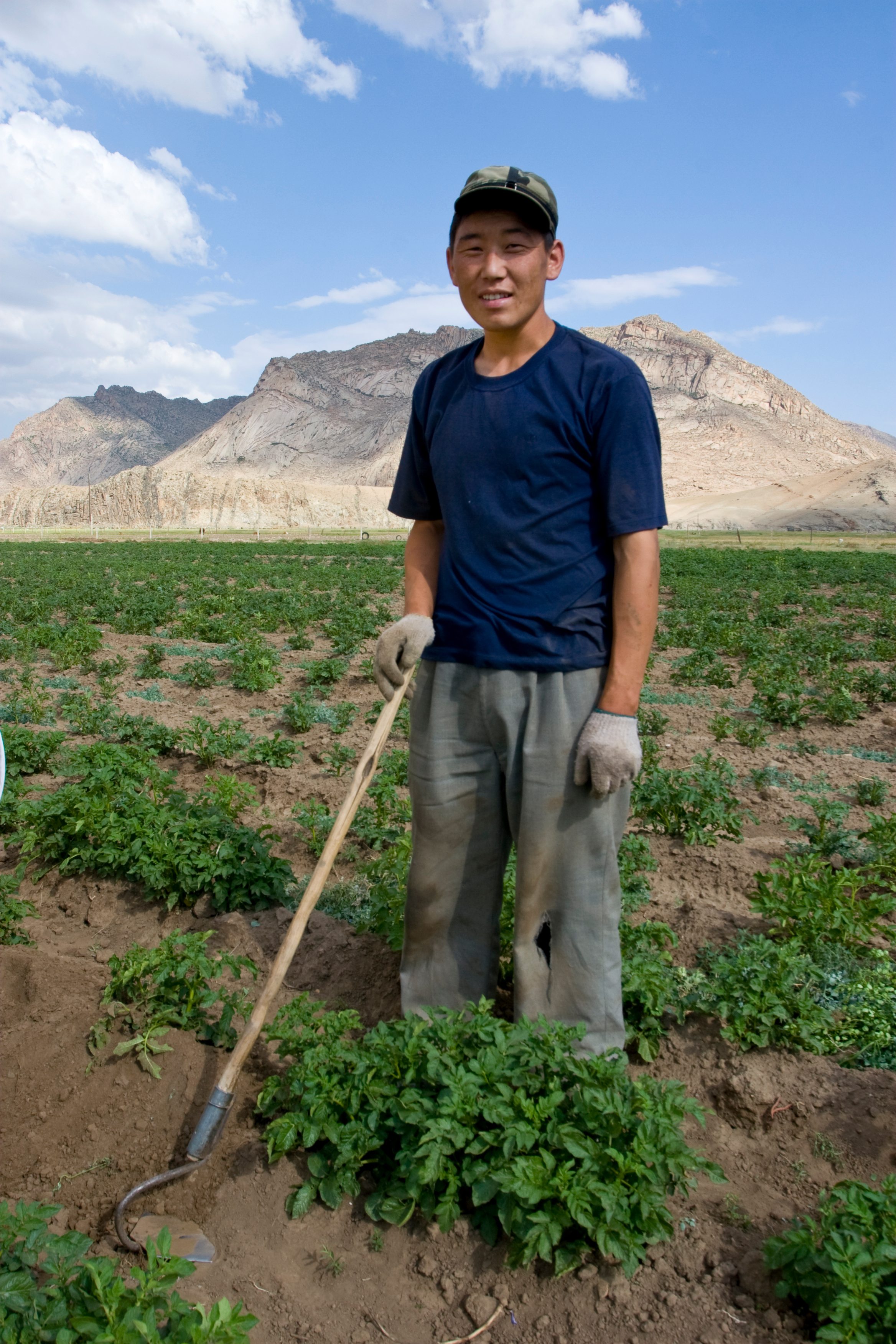 Market gardening in Mongolia