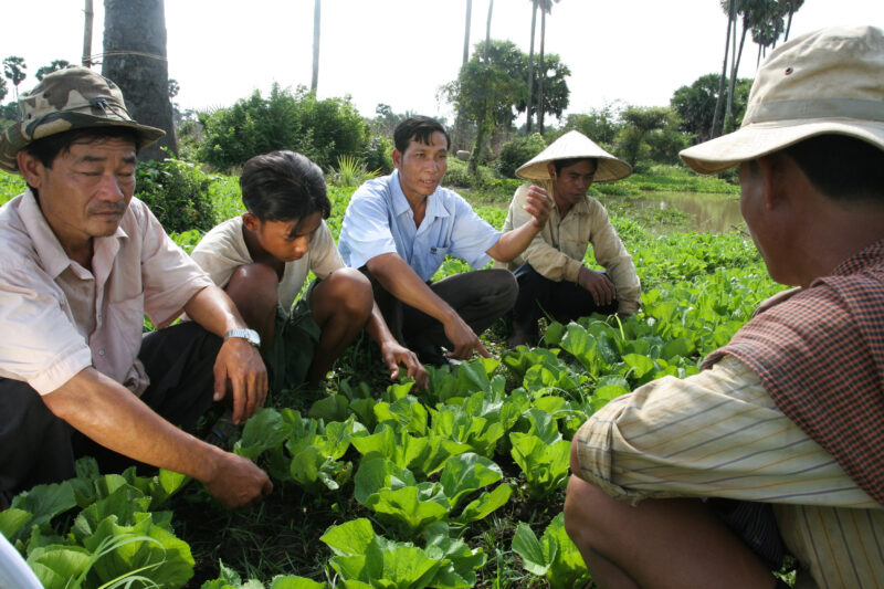 Agricultural Instruction in Cambodia — Stock Image of rural farmers getting agricultural instruction from an ADRA specialist. — Cambodia, farming, agricultur...