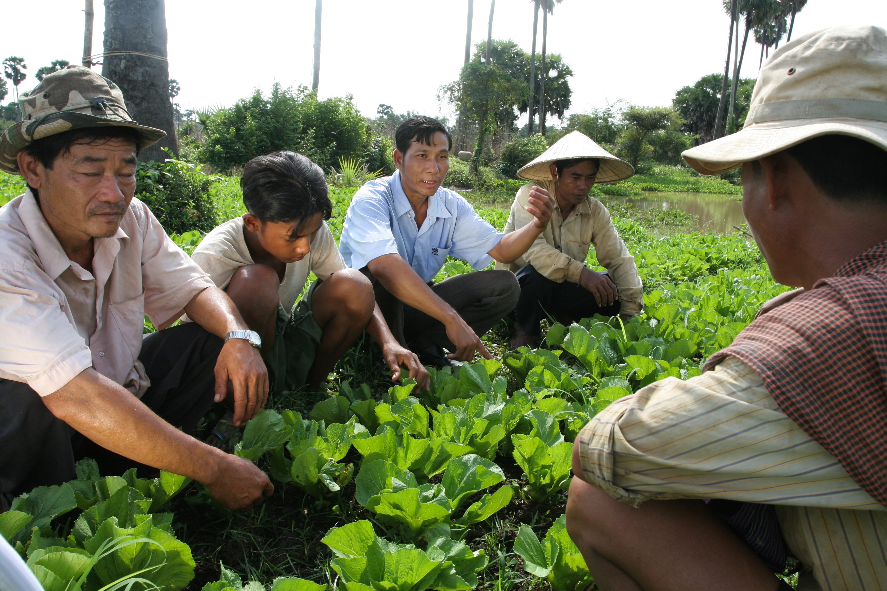 Agricultural Instruction in Cambodia