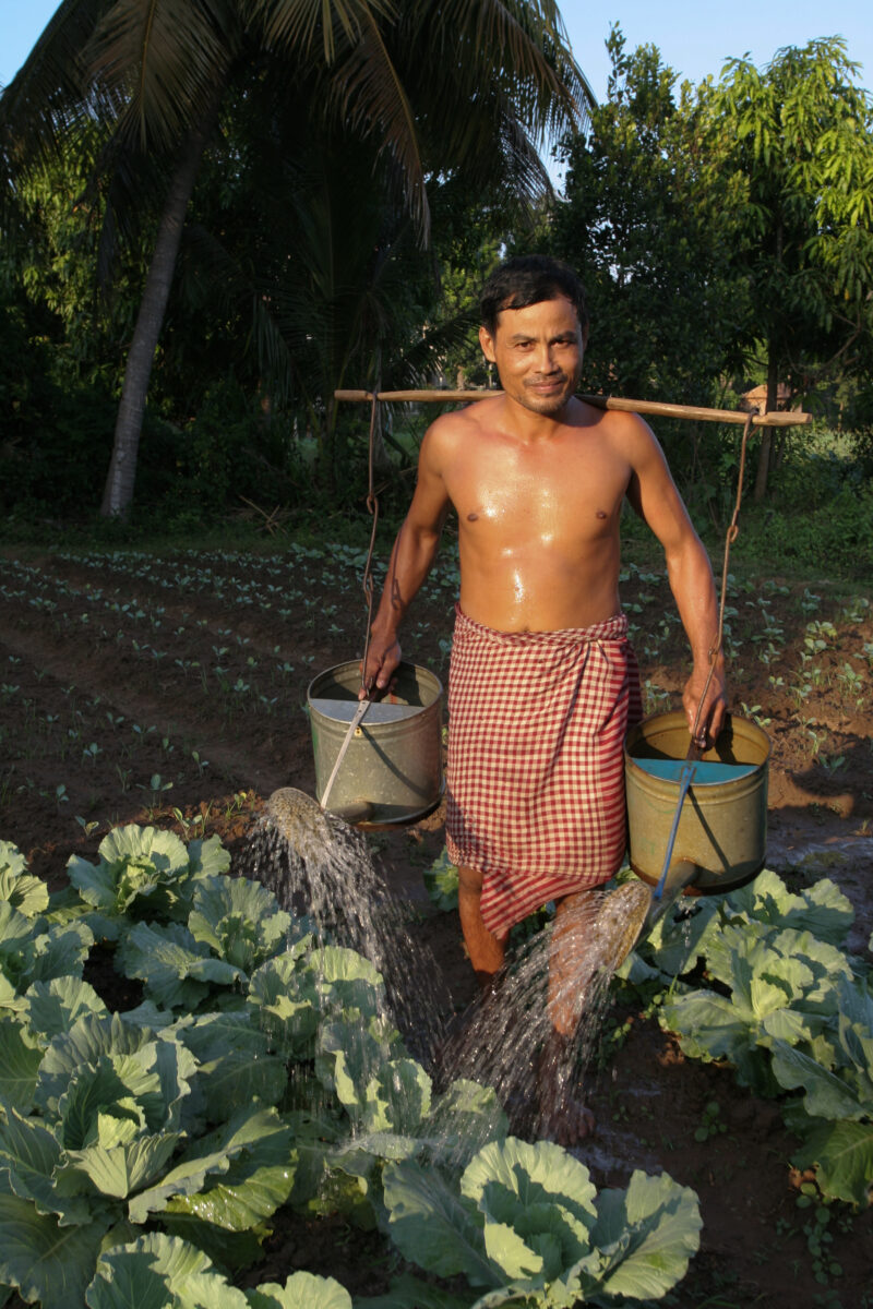 Watering by Hand — Stock image of irrigating fields by hand with watering cans, during the dry season in Cambodia. — Cambodia, agriculture, market gardening,...