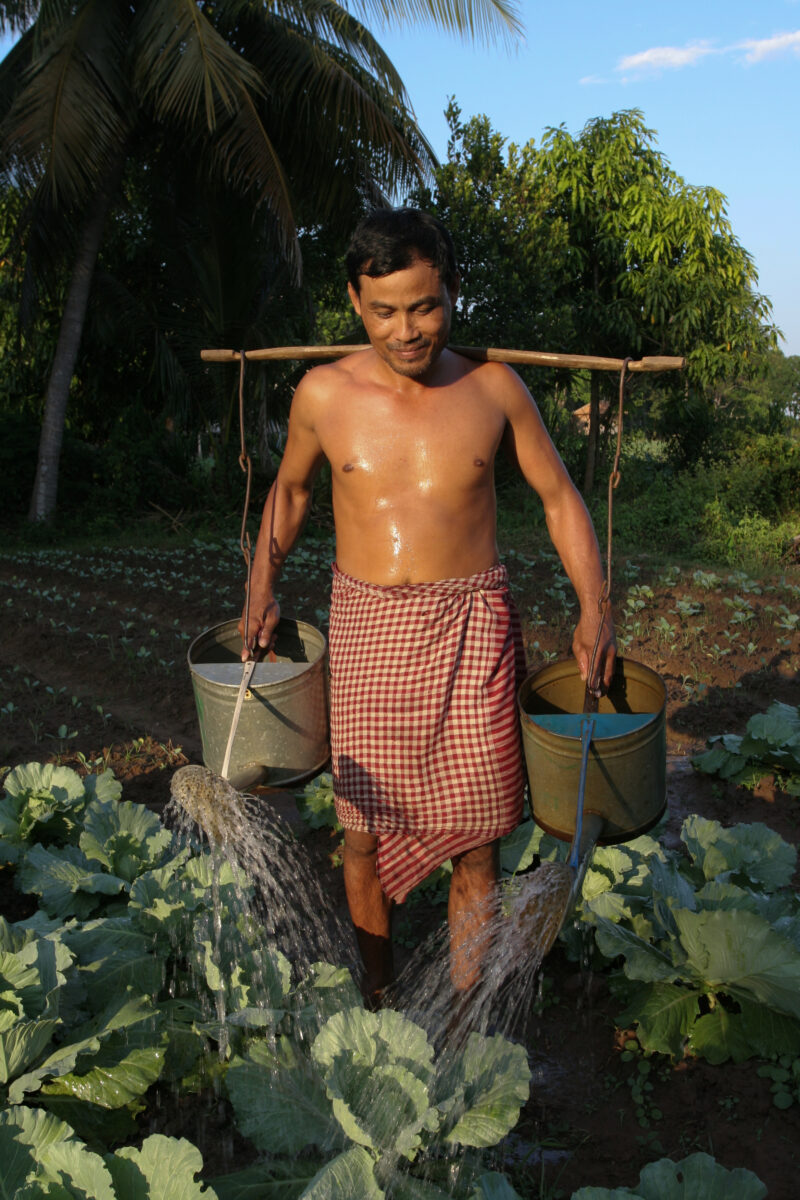 Watering by Hand — Stock image of irrigating fields by hand with watering cans, during the dry season in Cambodia. — Cambodia, agriculture, market gardening,...