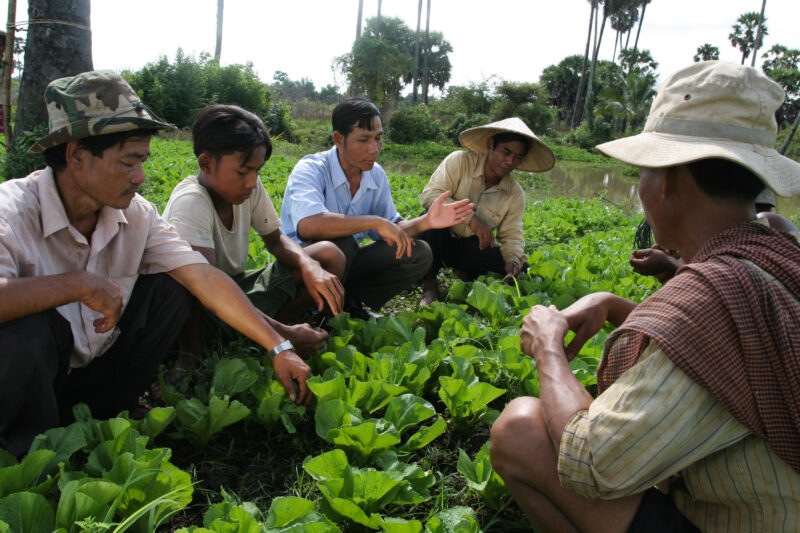 Agricultural Instruction in Cambodia — Stock Image of rural farmers getting agricultural instruction from an ADRA specialist. — Cambodia, farming, agricultur...