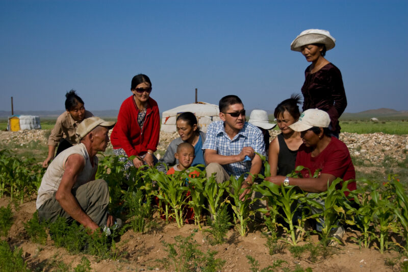 Agricultural Instruction in Mongolia — Stock image of people in Mongolia learning new methods of agriculture for better nutrition and Income. — Mongolia, agr...