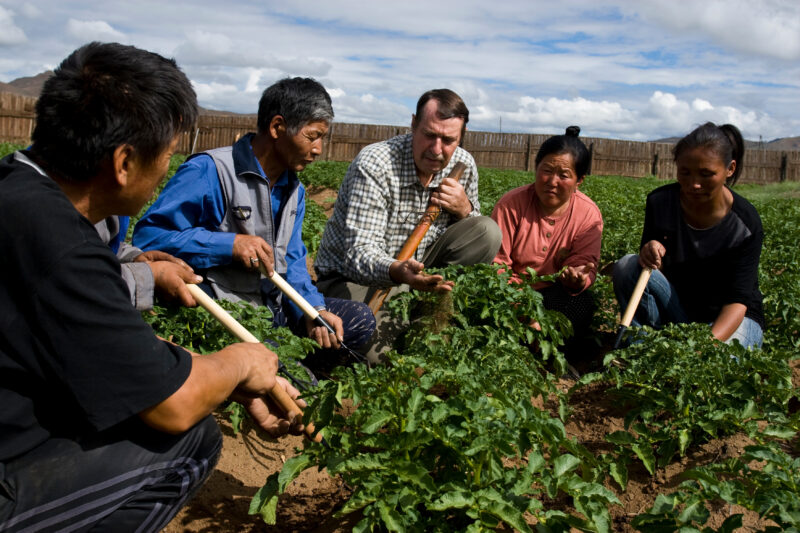 Agricultural Instruction in Mongolia — People in Mongolia learn new agricultural methods in Mongolia — Mongolia, agricultural instruction, agriculture, food ...
