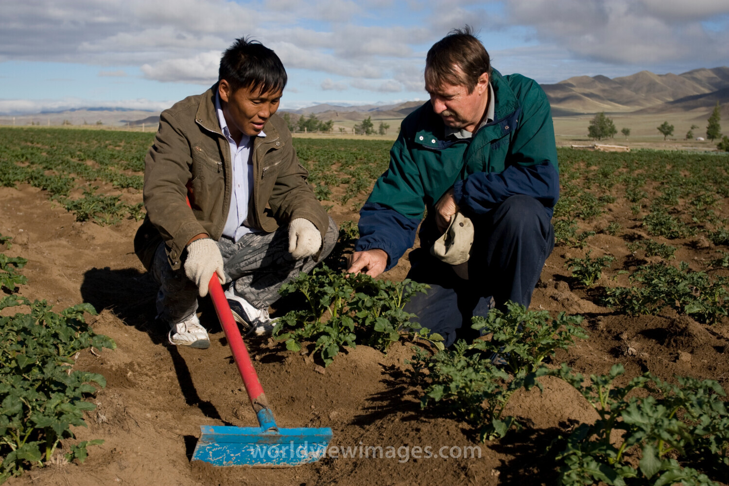 Agricultural Instruction in Mongolia
