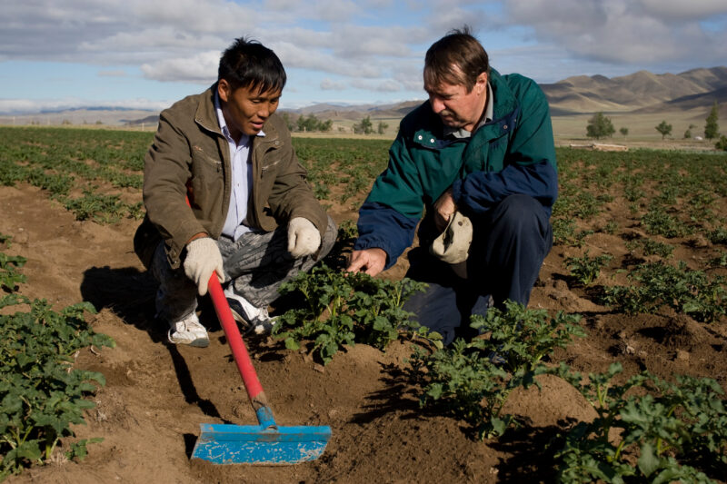 Agricultural Instruction in Mongolia — Stock image of people learning new agricultural skills in Mongolia — Mongolia, agricultural instruction, agriculture, ...