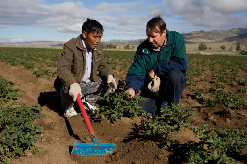 Agricultural Instruction in Mongolia — Stock image of people learning new agricultural skills in Mongolia — Mongolia, agricultural instruction, agriculture, ...