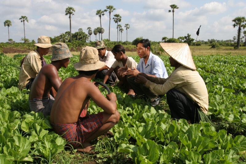 Agricultural Instruction in Cambodia — Stock Image of rural farmers getting agricultural instruction from an ADRA specialist. — Cambodia, farming, agricultur...