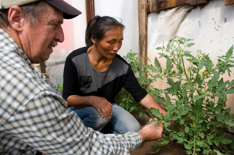 Woman Learns from Agriculturist — Mongolia, agricultural instruction, agriculture, food security