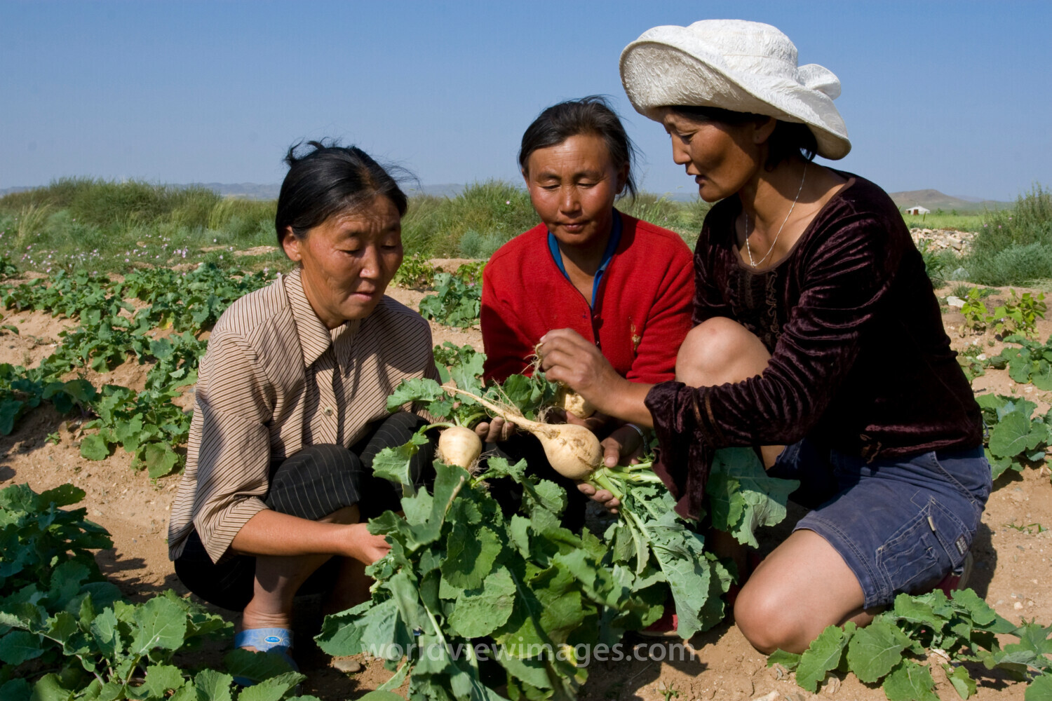 Agricultural Instruction in Mongolia