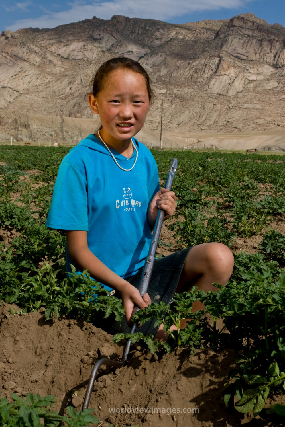Market gardening in Mongolia