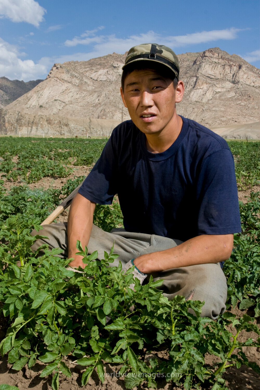 Market gardening in Mongolia