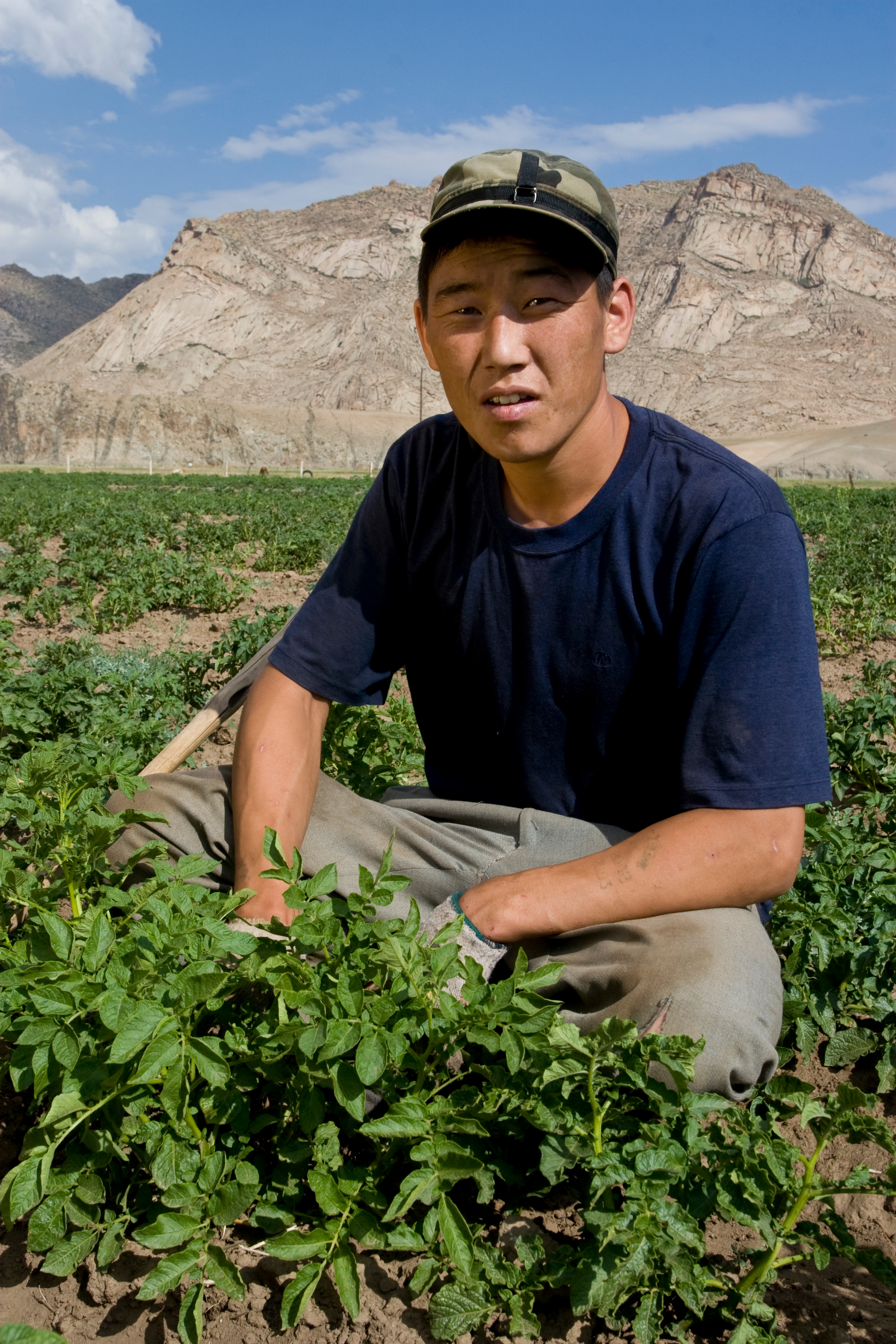 Market gardening in Mongolia