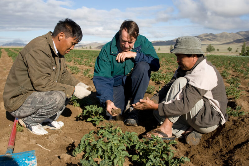 Agricultural Instruction in Mongolia — Stock image of people learning new agricultural skills in Mongolia — Mongolia, agricultural instruction, agriculture, ...