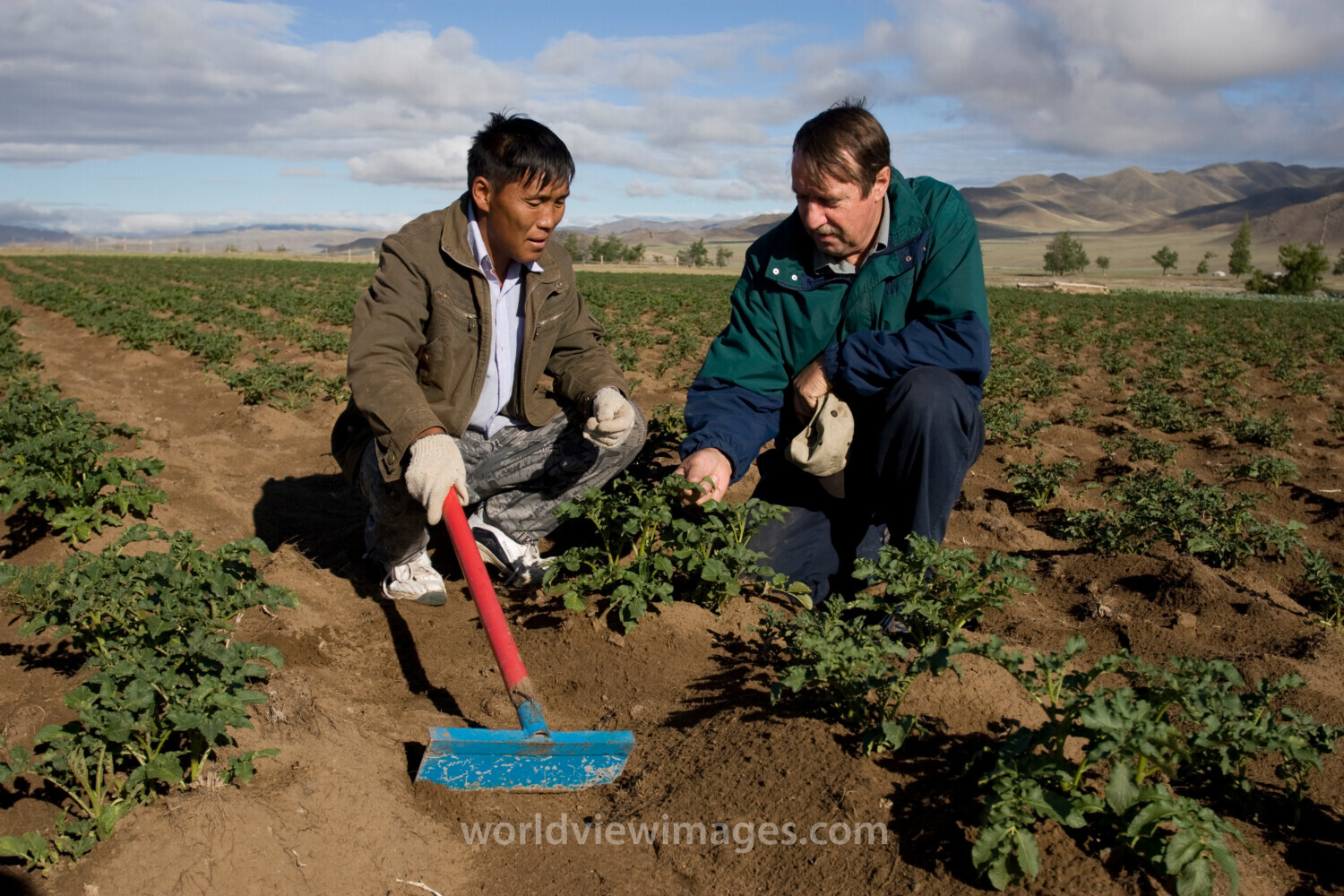 Agricultural Instruction in Mongolia