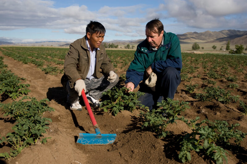 Agricultural Instruction in Mongolia — Stock image of people learning new agricultural skills in Mongolia — Mongolia, agricultural instruction, agriculture, ...