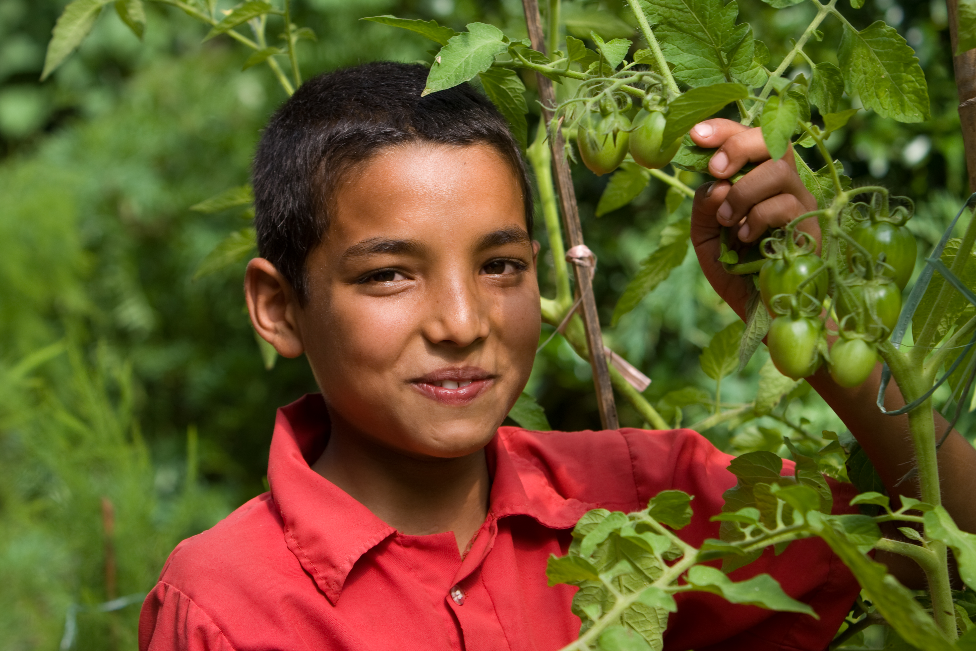 Growing Vegetables in Pots