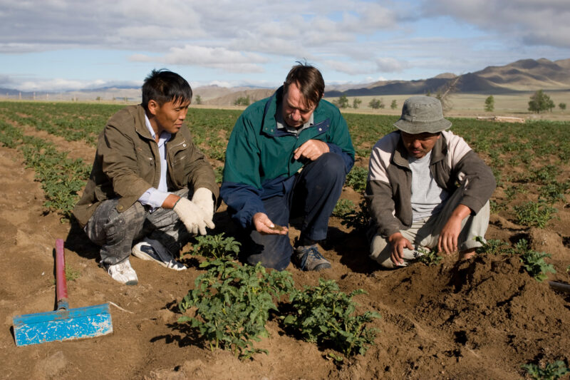 Agricultural Instruction in Mongolia — Stock image of people learning new agricultural skills in Mongolia — Mongolia, agricultural instruction, agriculture, ...
