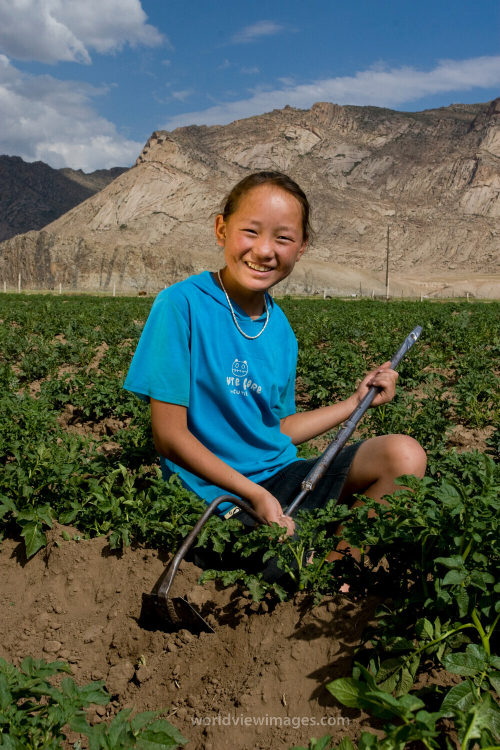 Market gardening in Mongolia