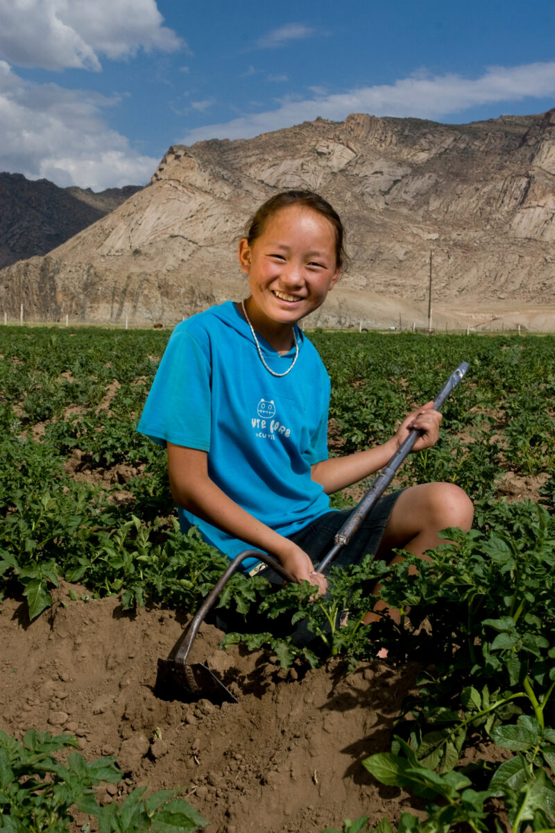 Market gardening in Mongolia — Stock Image of people working in a market garden in Mongolia — Mongolia, agricultural instruction, agriculture, food security