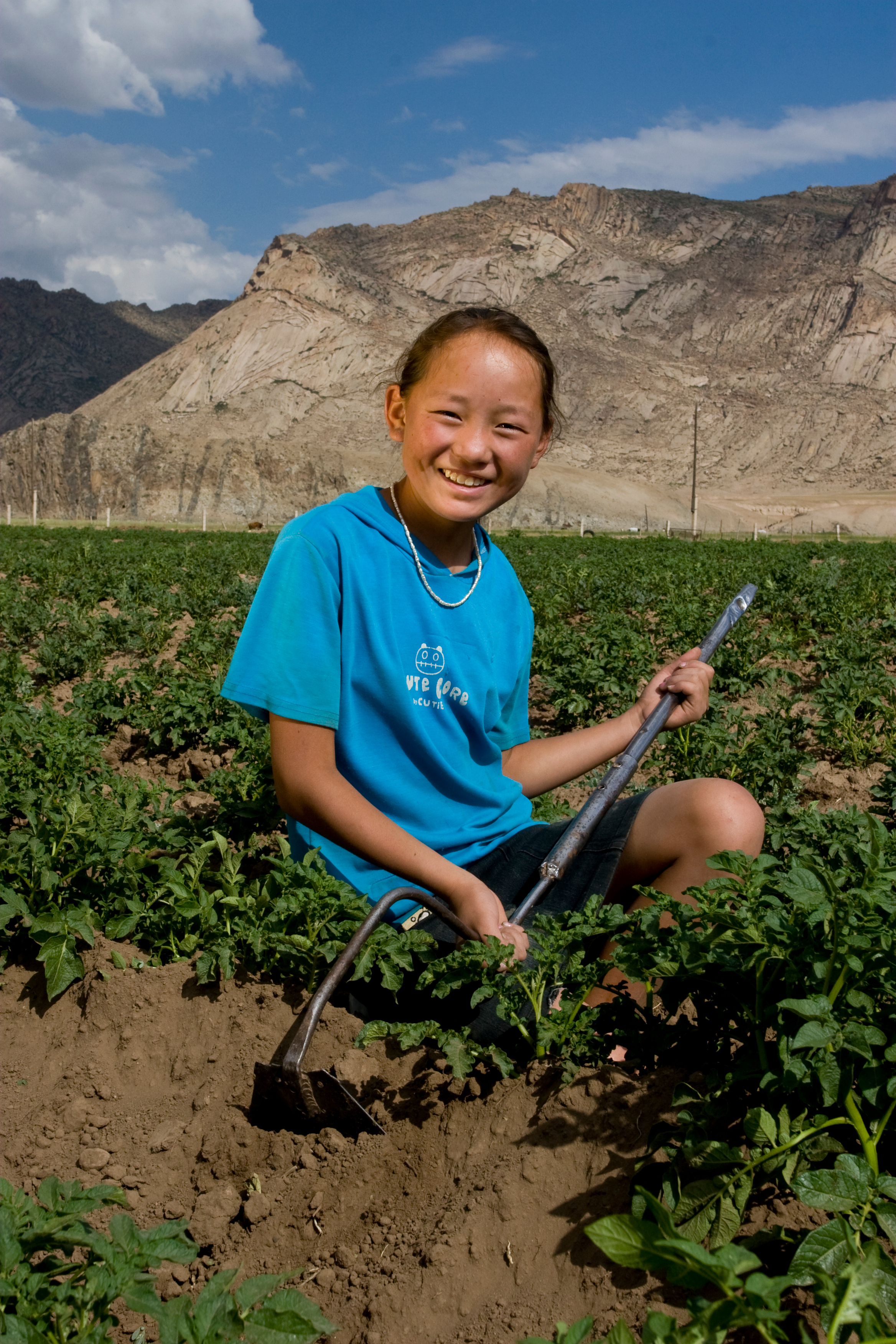 Market gardening in Mongolia